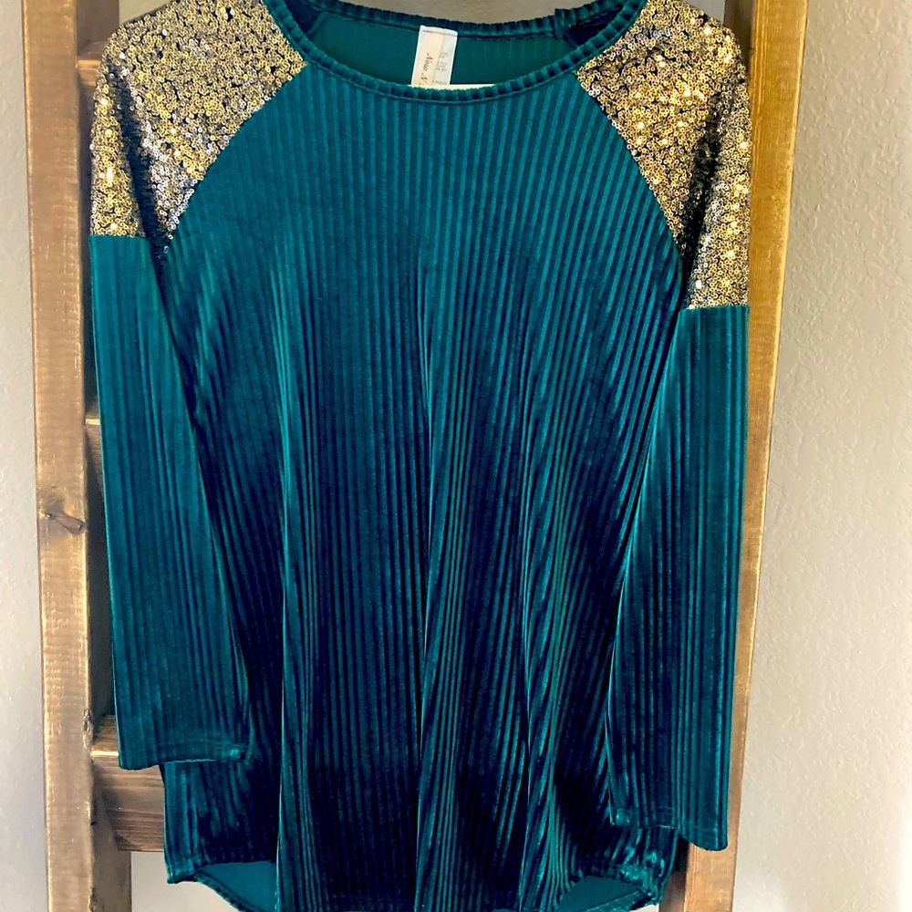 Velvet/sequin Blouse
